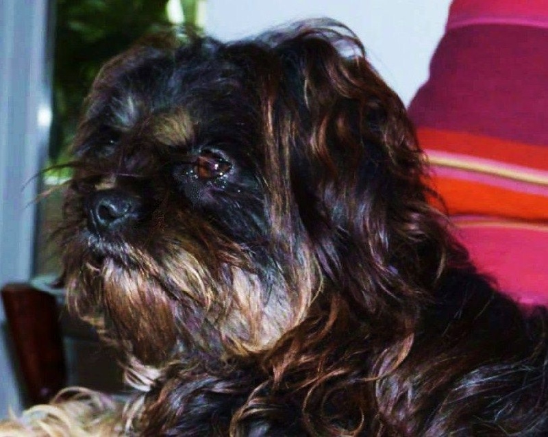 Chung chung bya De la garde adhemar